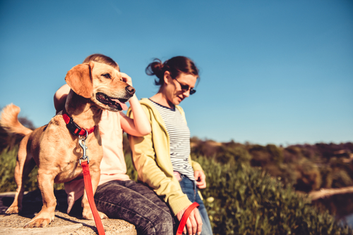 4 tips for choosing UV resistant sunglasses to get through summer safely