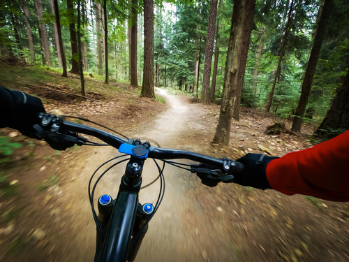 person riding bike in the woods